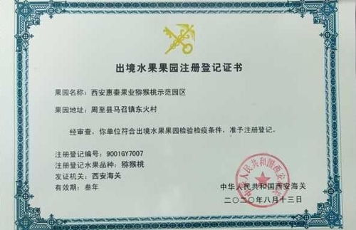 乳酸菌肥料助力獼猴桃品質(zhì)升級(jí)，陜西西安科技成果轉(zhuǎn)化推動(dòng)果業(yè)新發(fā)展