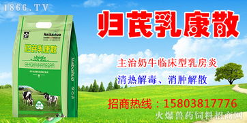 開(kāi)辟互聯(lián)網(wǎng)新領(lǐng)域 鄭州黑白花生物首次簽約生物技術(shù)推廣服務(wù)