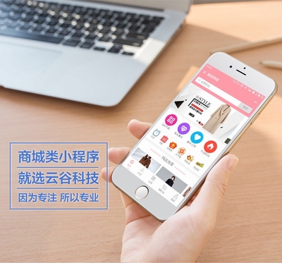 微信小程序拼團商城平臺定制開發開發云APP開發